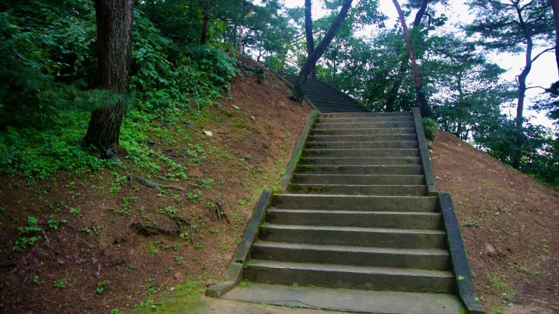 A traditional forest pavilion with a tiled roof stands above crossing paths at Tangeumdae Park beneath tall pines.