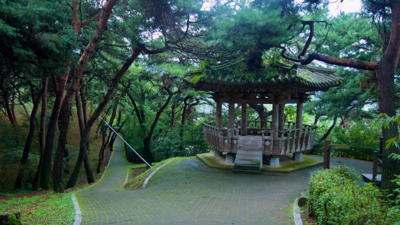 Wood-railed stairs descend through pines toward a river boardwalk at Tangeumdae Park, revealing water below.