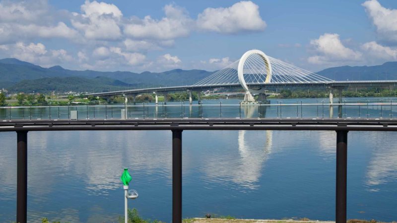 Benches and shade trees line the lakeside park in Chuncheon, overlooking quiet blue water.