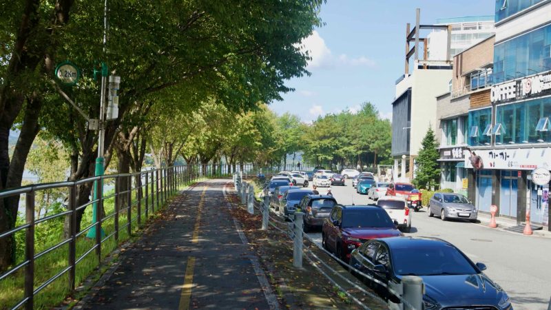 A two-way bike lane runs under leafy riverside trees while cars park along the opposite curb.
