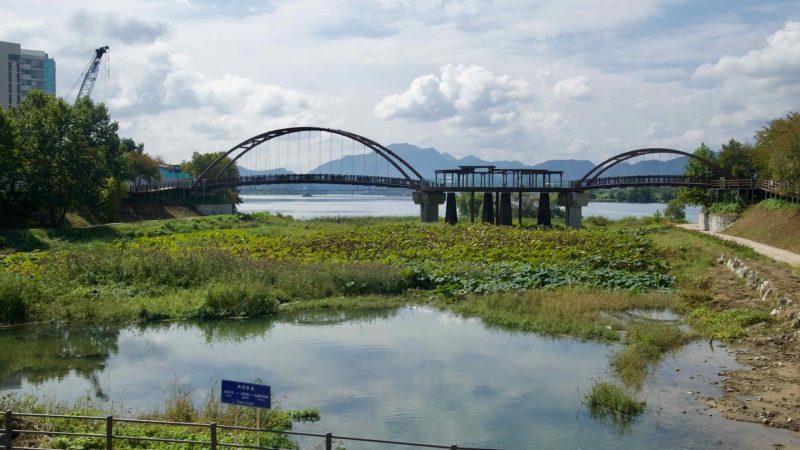 Twin arched pedestrian bridges cross a wetland inlet near Uiam Lake, linking paths over shallow water plants.