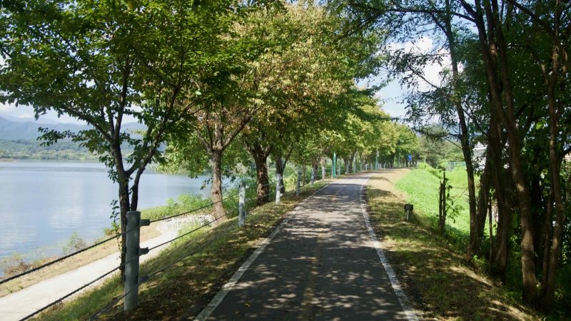 A smooth bike path curves along Uiam Lake, flanked by trees and a grassy embankment with distant hills.