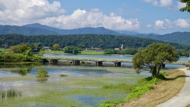 A low concrete bridge crosses a backwater of aquatic plants below wooded hills and a riverside road.