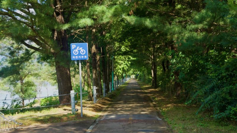 A shaded section of the Bukhangang Bike Path includes a bicycle-parking sign near downtown Chuncheon.