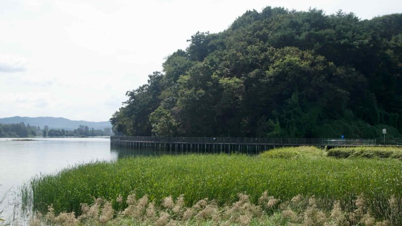 A low boardwalk skirts the wetlands of Lake Uiam beneath a wooded hill.