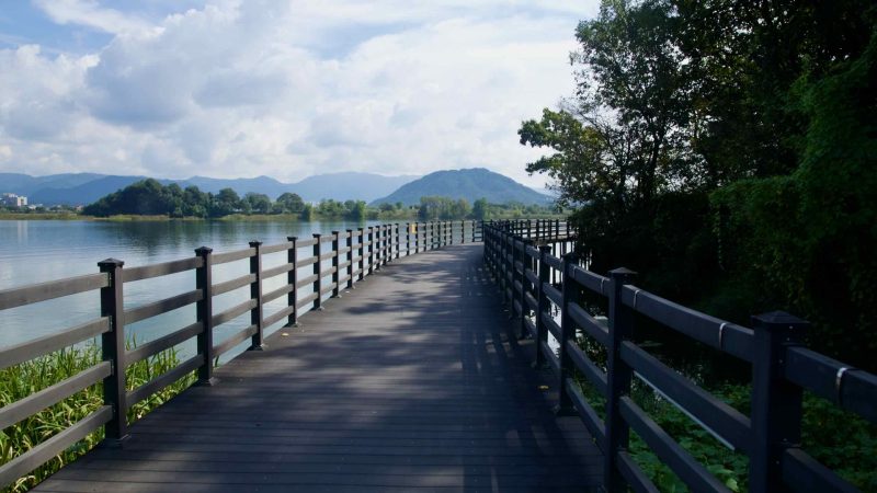 A straight section of the Lake Uiam boardwalk runs over still water toward a wooded islet.