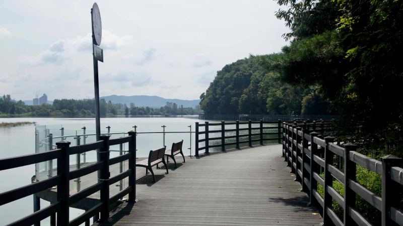 Benches at a widened corner of the Lake Uiam boardwalk offer views over the water.