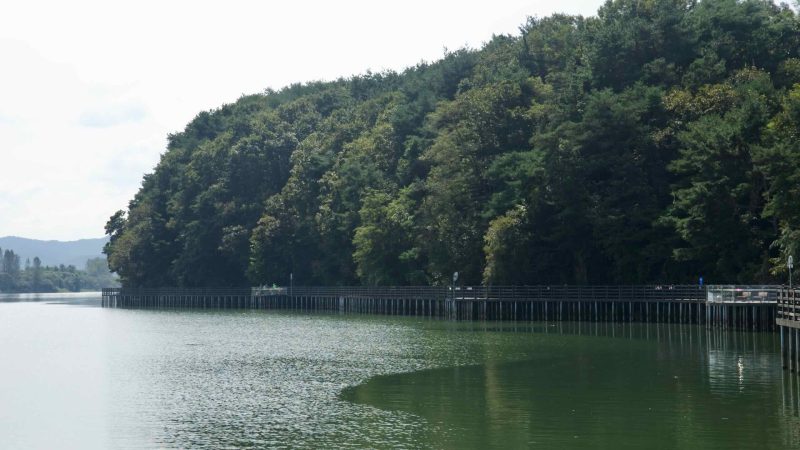 A long stretch of pile-supported boardwalk follows the wooded shoreline of Lake Uiam.