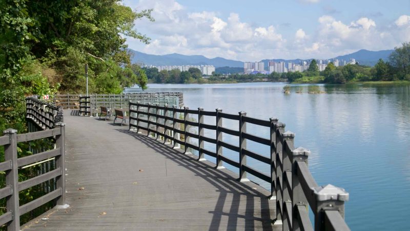 Boardwalk bends toward Chuncheon’s apartment skyline with benches along overlooks.