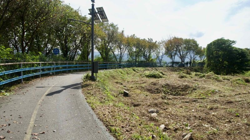 Freshly cleared ground borders a curving levee-top bike path lined with blue rails and lights.