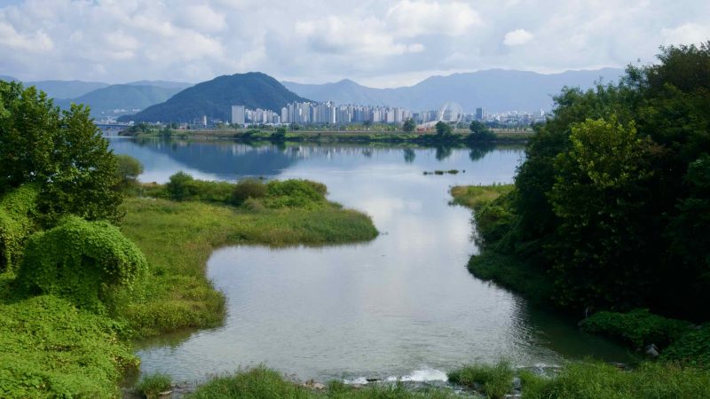 Wetlands lead into Uiam Lake with Chuncheon’s skyline and ring-pylon bridge beyond.