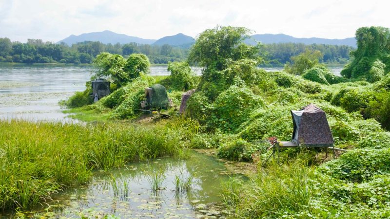 Camouflaged fishing tents line vine-covered banks of the North Han River near Lake Uiam in Chuncheon.