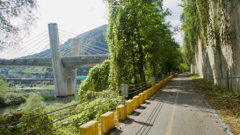 A narrow river path traces the Bukhangang beside the cable-stayed bridge.