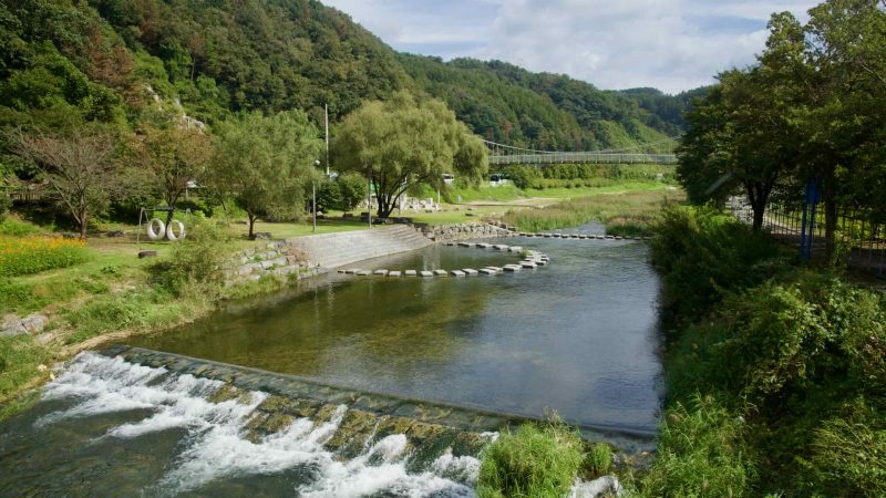 Stepping stones curve across a shallow tributary below willows and lawns at a riverside park in Gangchon.