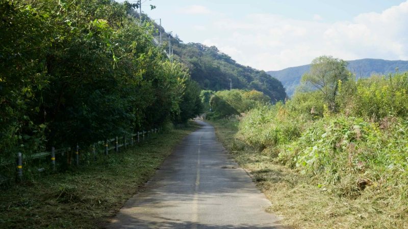 A shaded stretch of bike path threads between dense greenery beside the river.