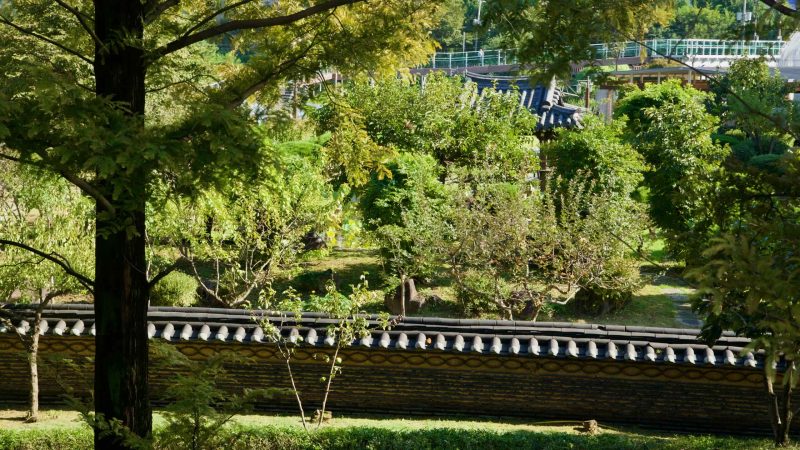 A traditional garden wall and pavilion roof are framed by trees near Jara Island.