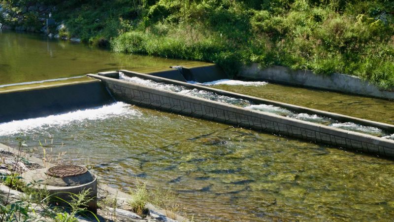 Clear water moves over a low weir and through a concrete fish ladder on Daljeon Stream in Gapyeong, revealing submerged rocks.