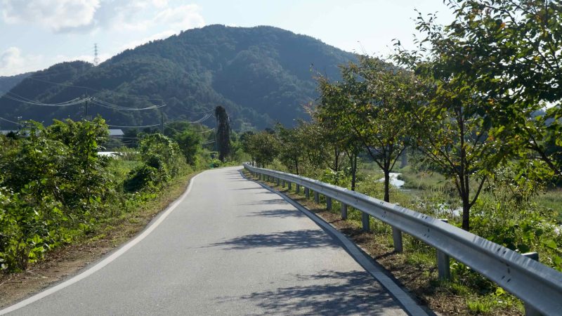 A tree-lined bike path curves gently above Daljeon Stream in Gapyeong, with a guardrail and shadows leading the eye downstream.