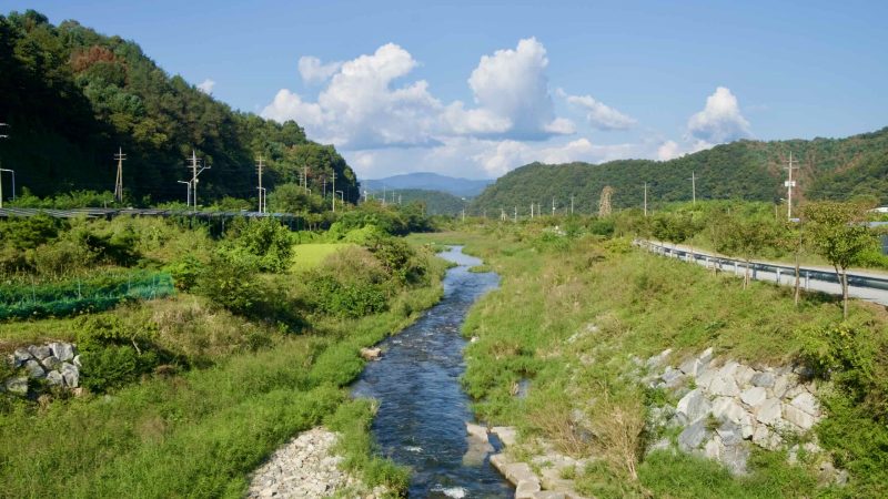 Daljeon Stream winds between green banks and rice fields near Gapyeong beside the Bukhangang Bike Path.