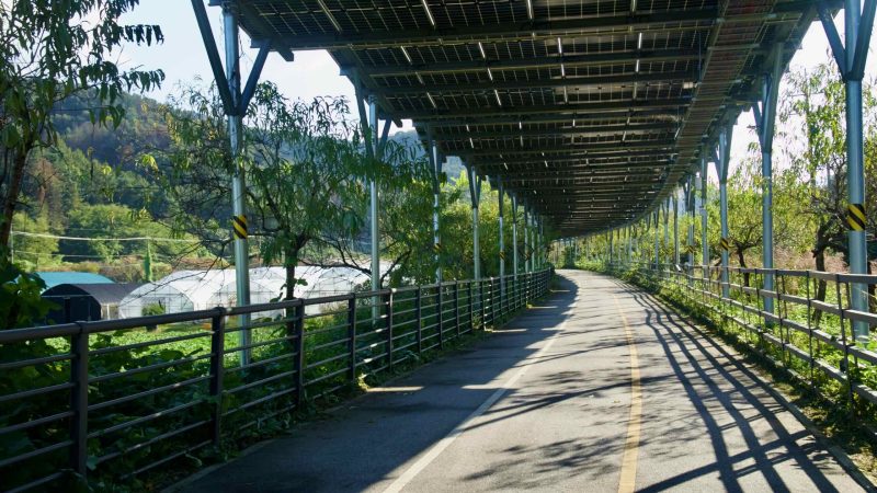 A curving stretch of the Bukhangang Bike Path runs under solar panels beside orchards and greenhouses.