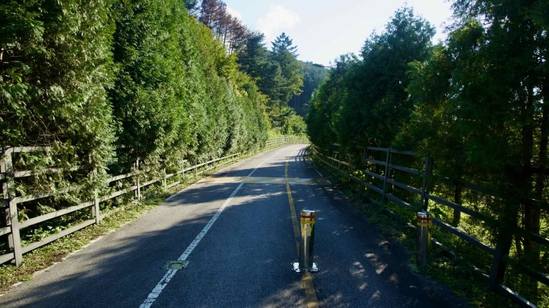 Tall hedges and wooden fences enclose a narrow section of the Bukhangang Bike Path in Gapyeong.