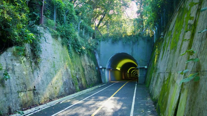 Ivy and moss cover steep retaining walls at Saekhyeon Tunnel’s entrance on the Bukhangang Bike Path.