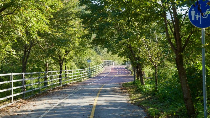 The approach to a red-decked bridge on the Bukhangang Bike Path follows a soft curve between twin railings.