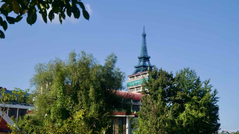 Cafe Paris tower peeks over treetops and rooftops in Sangcheon Village.