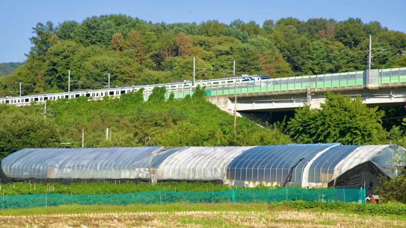 A commuter train on elevated tracks passes above greenhouses and stubbled fields.