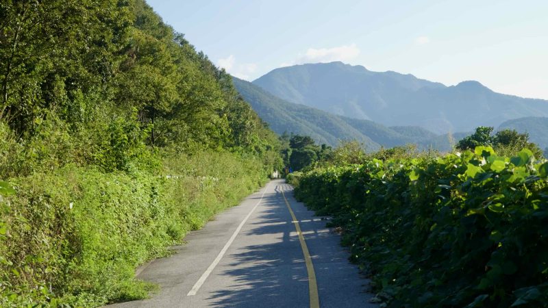 A straight bikeway between vines and the forest edge leads toward layered blue hills.