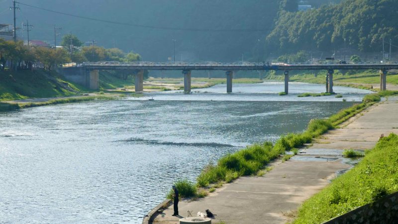 An angler stands on a riverside apron along Jojong Stream at Cheongpyeong, casting near the confluence with the Bukhan River.