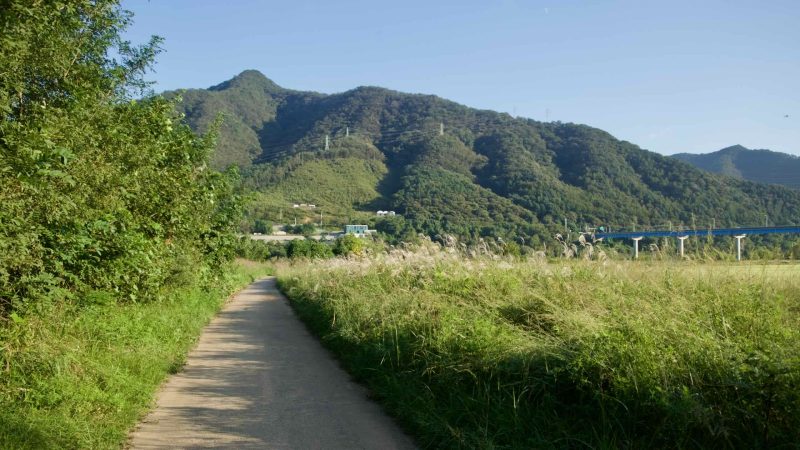 A narrow dirt path skirts tall grasses and reeds along the Bukhangang Bicycle Path near Cheongpyeong, leading toward distant forested hills.