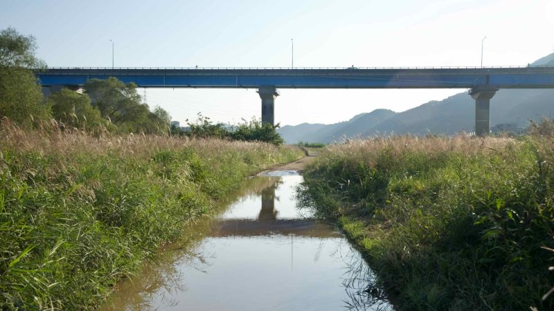 After rain, a low farm track beside the Bukhan River holds standing water beneath a high road bridge, flanked by fields and a riverside bike path.