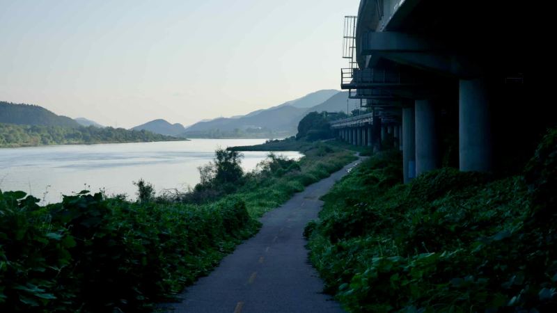A shady stretch of the Bukhangang Bicycle Path passes under an elevated roadway beside the North Han River in Gapyeong.