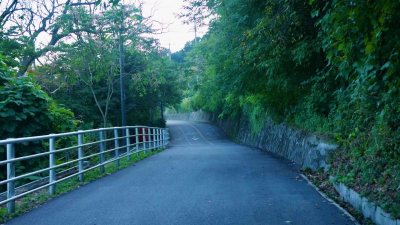 A downhill curve on the Bukhangang Bicycle Path in Namyangju runs beside a wooded slope.
