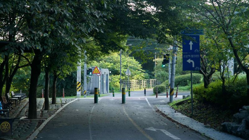 A tree-lined crossing with signals and bollards breaks the Bukhangang path in Namyangju.