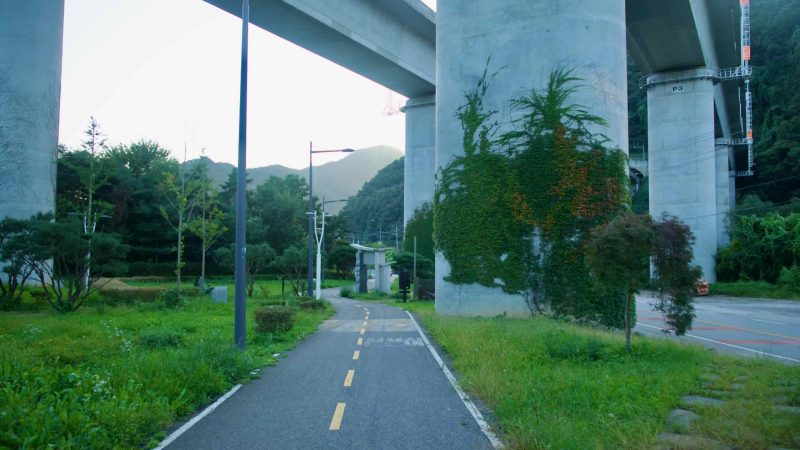 The bikeway threads under ivy-clad bridge piers beside greenspace in Namyangju.