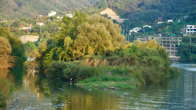A vegetated islet and a white heron rest on the Bukhan River in Namyangju.