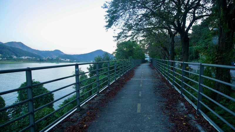 A raised stretch of bike path runs between railings and trees beside the Bukhangang.