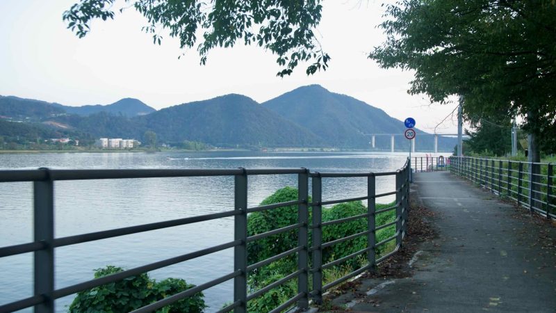 A shaded stretch of bike path follows the North Han River in Namyangju.