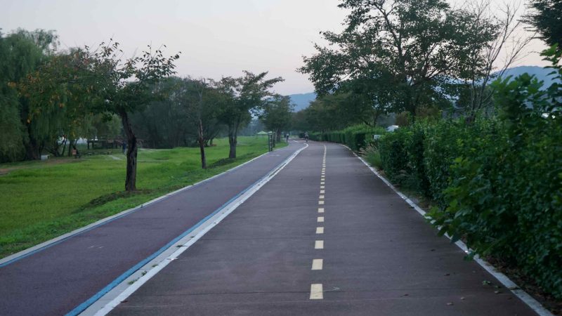 A straight cycling track runs past hedges and lawns by the Bukhangang.
