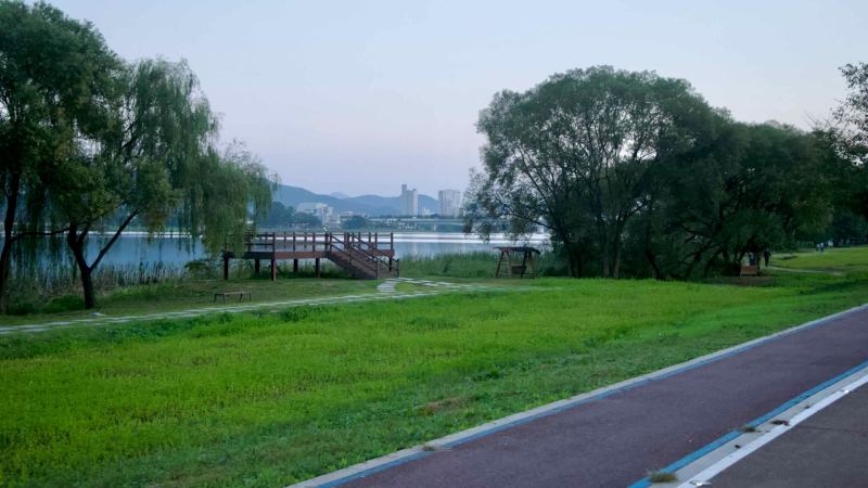 A wooden viewing deck stands above wetlands on the North Han River.