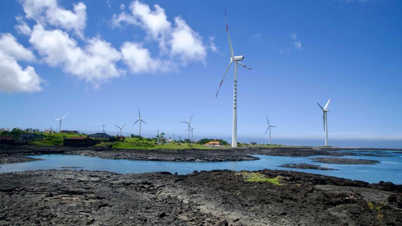 Rows of wind turbines sweep over Jeju’s black‑lava shoreline at Sinchang.