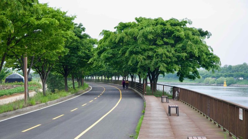 Ara Waterway