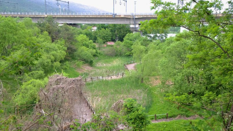 Namyangju