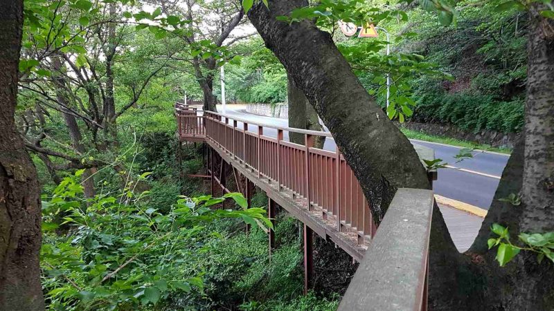 Busan-Haundae-Hill-Bike-Road-Trail-1