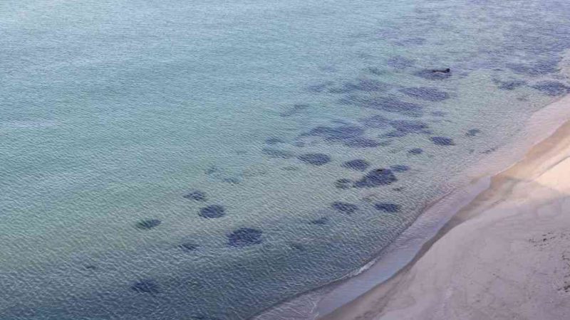 Aerial view of Mangsang Beach reveals the transparent East Sea waters meeting the sandy beach, with visible sand patterns and seaweed beneath the gentle waves.