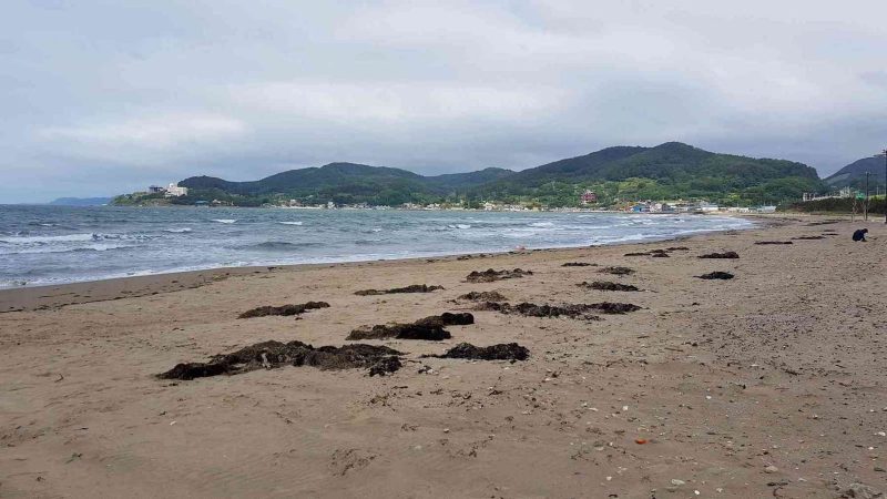 East-Coast-2-Pohang-Homigot-Dogu-Beach