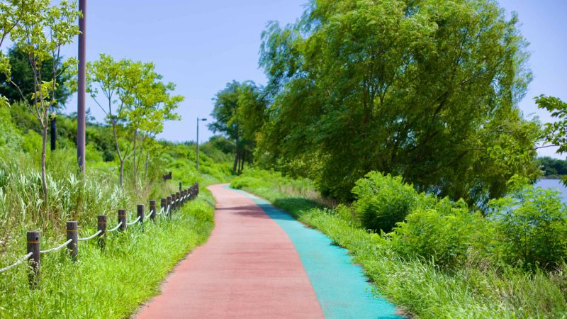 scenic route