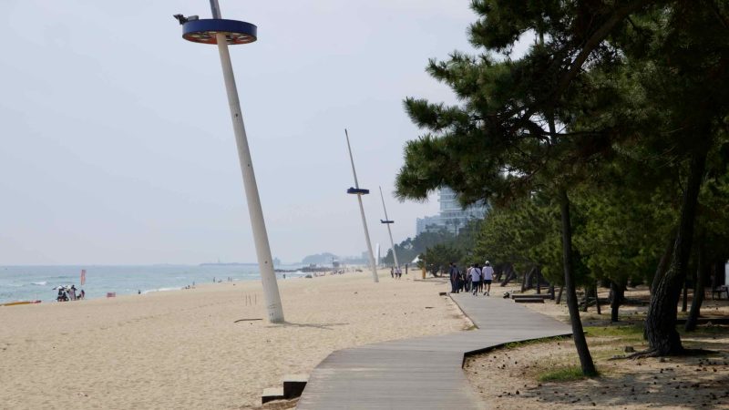 coastline
